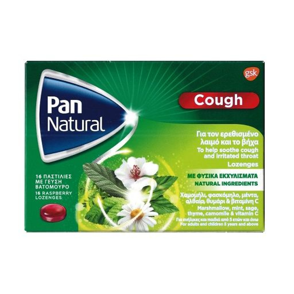 Pan Natural Παστίλιες με Φυσικά Εκχυλίσματα 16τμχ Γεύση Βατόμουρο