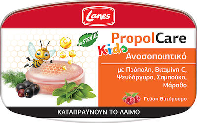 LANES PROPOLCARE PASTILLES BLACKBERRY LANES PROPOLCARE PASTILLES BLACKBERRY